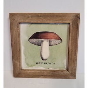 Creative Co-op Mushroom Framed Art 6" Square CLAV FLAVA, Pers. Clav. Fungi Retro